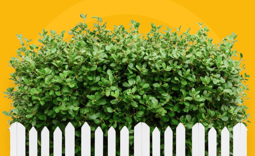 Zaunmontage Mit Grüner Hecke Hintergrund